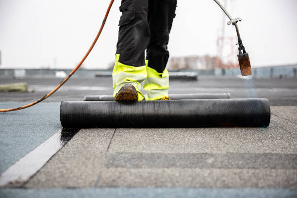 Best Roof Moss and Algae Removal  in Corcoran, CA